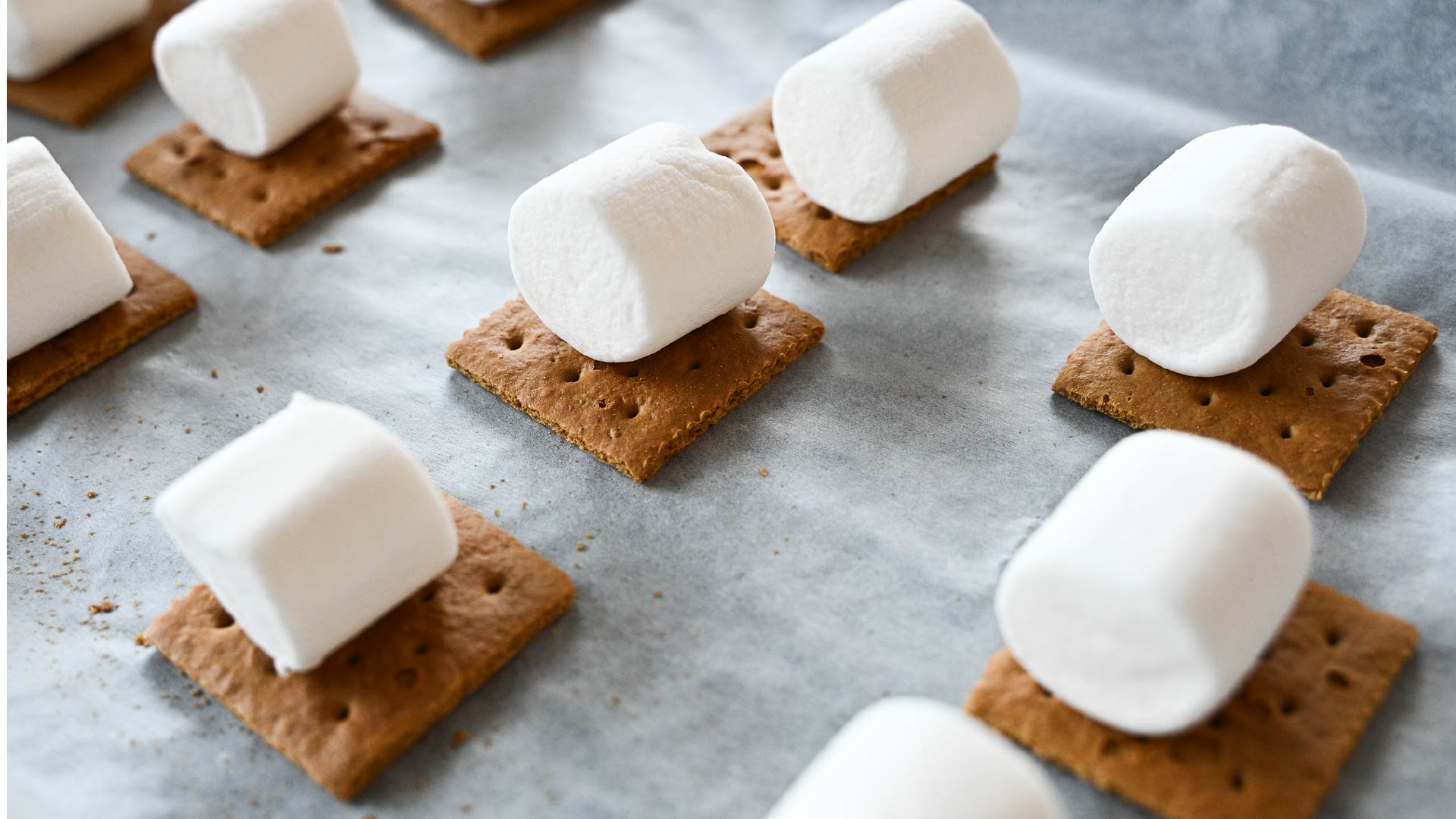 marshmallow on graham cracker